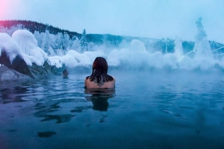 Northern Lights & Chena Hot Springs Tour - Photo 1 of 23